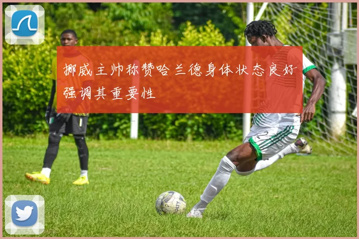 挪威主帅称赞哈兰德身体状态良好强调其重要性